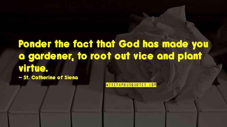 Boxter Quotes By St. Catherine Of Siena: Ponder the fact that God has made you