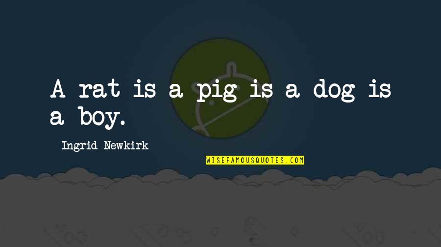 Boy And Dog Quotes By Ingrid Newkirk: A rat is a pig is a dog