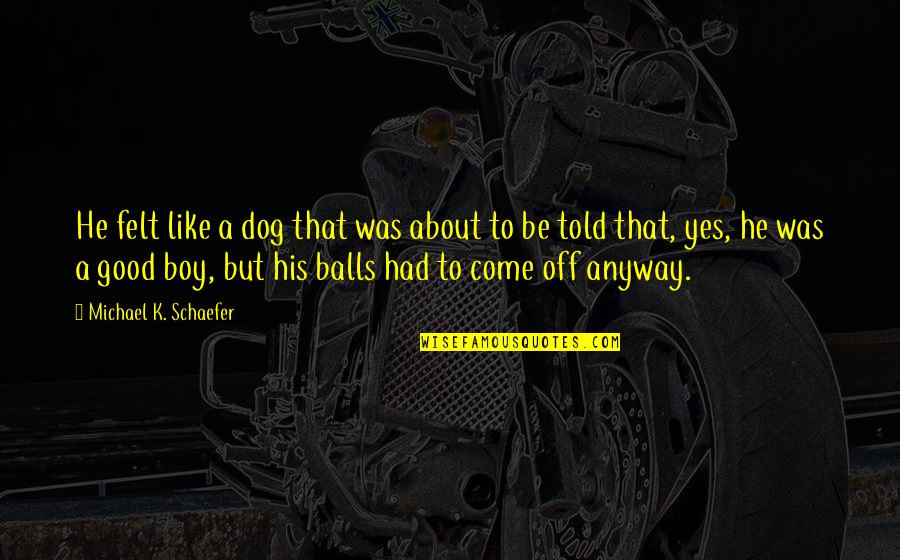 Boy And Dog Quotes By Michael K. Schaefer: He felt like a dog that was about