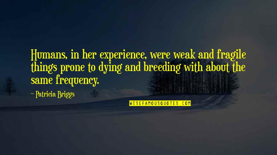 Boy And His Dog Quotes By Patricia Briggs: Humans, in her experience, were weak and fragile