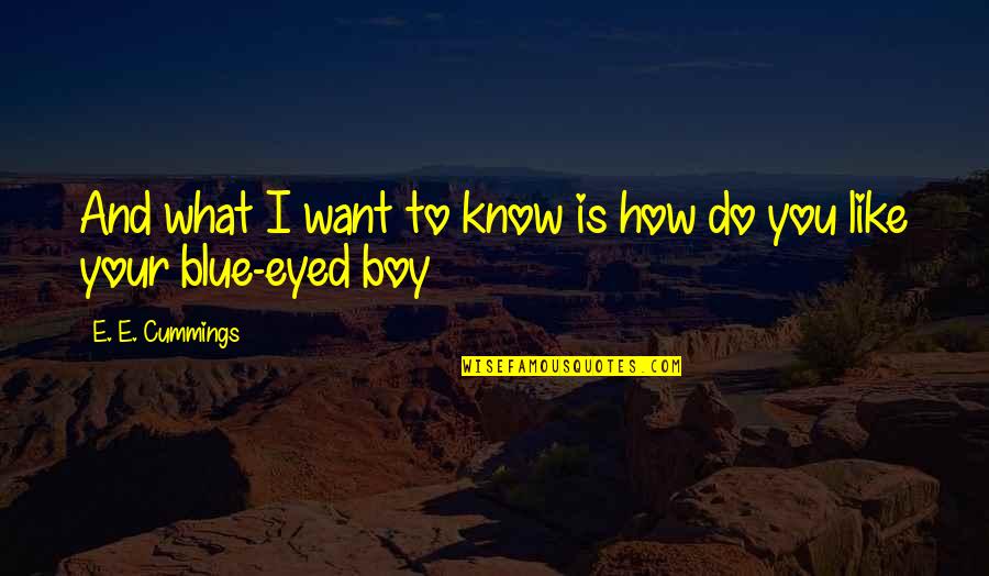 Boy Are Like Quotes By E. E. Cummings: And what I want to know is how