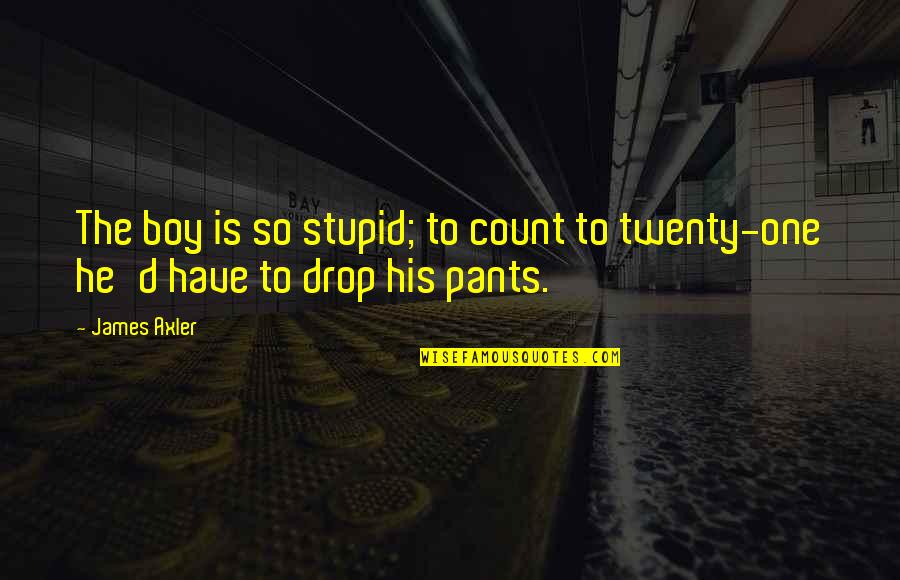 Boy Are Stupid Quotes By James Axler: The boy is so stupid; to count to