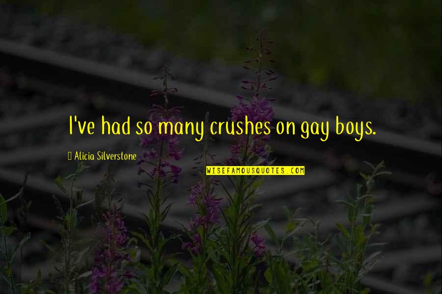 Boy Crushes Quotes By Alicia Silverstone: I've had so many crushes on gay boys. Boy Crushes Quotes By Alicia Silverstone: I've had so many crushes on gay boys.