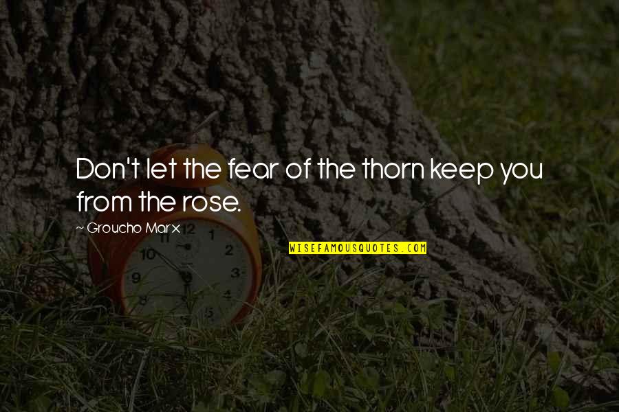 Boy Crushes Quotes By Groucho Marx: Don't let the fear of the thorn keep Boy Crushes Quotes By Groucho Marx: Don't let the fear of the thorn keep