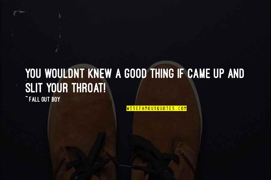 Boy If You Only Knew Quotes By Fall Out Boy: You wouldnt knew a good thing if came
