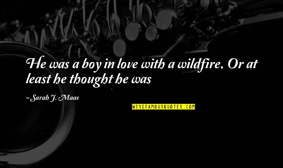 Boy In Love Quotes By Sarah J. Maas: He was a boy in love with a