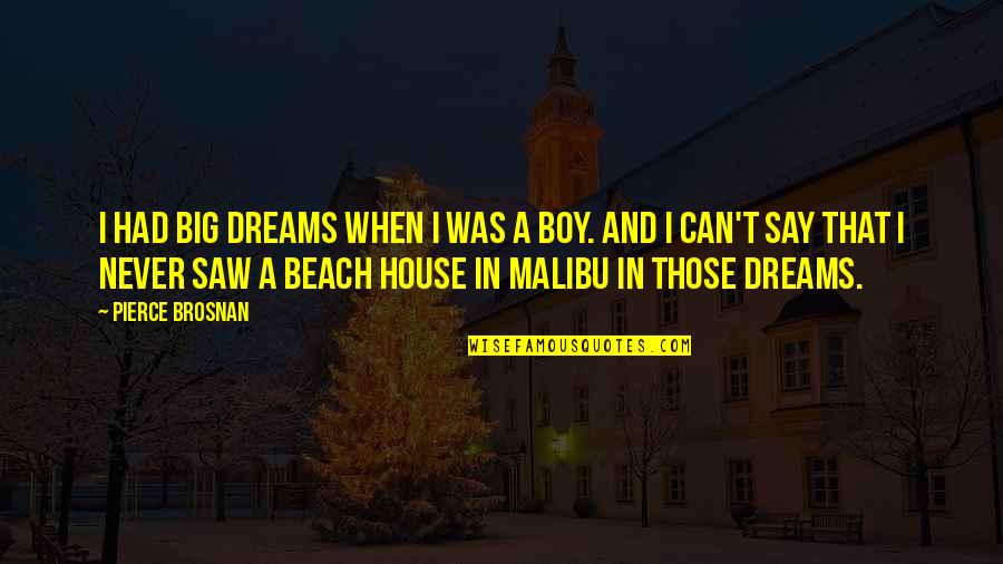 Boy On The Beach Quotes By Pierce Brosnan: I had big dreams when I was a