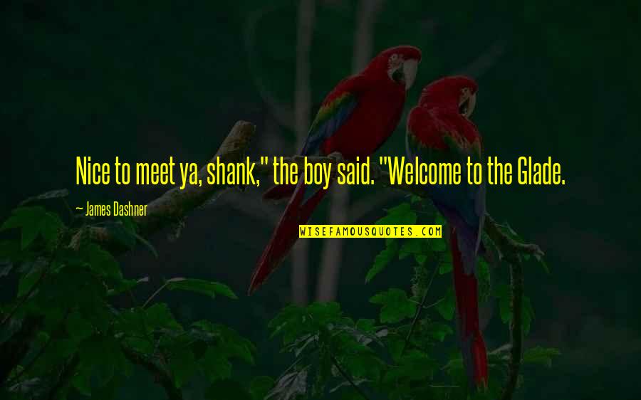 Boy Quotes And Quotes By James Dashner: Nice to meet ya, shank," the boy said.