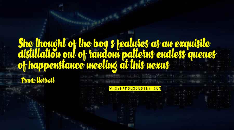 Boy Quotes By Frank Herbert: She thought of the boy's features as an