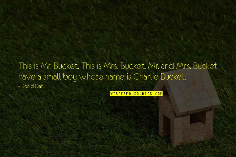 Boy Roald Dahl Quotes By Roald Dahl: This is Mr. Bucket. This is Mrs. Bucket.