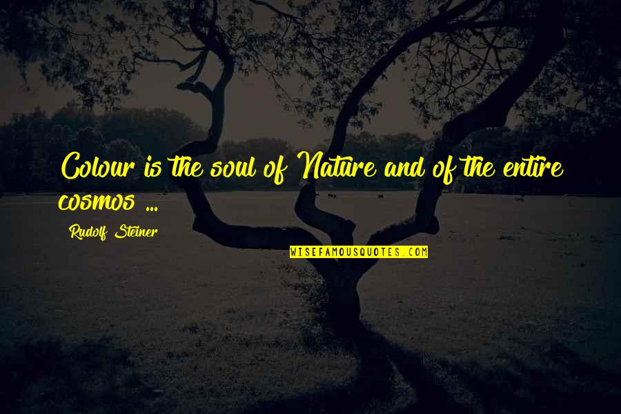 Boy Scout Service Quotes By Rudolf Steiner: Colour is the soul of Nature and of