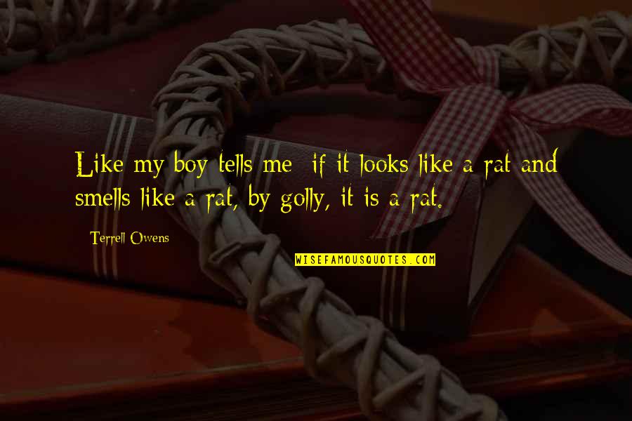 Boy Smells Quotes By Terrell Owens: Like my boy tells me; if it looks Boy Smells Quotes By Terrell Owens: Like my boy tells me; if it looks