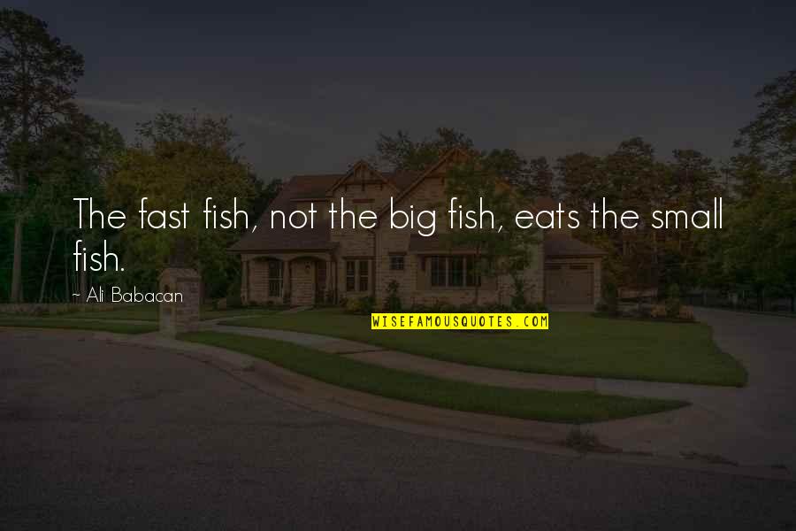 Boy This Place Quotes By Ali Babacan: The fast fish, not the big fish, eats Boy This Place Quotes By Ali Babacan: The fast fish, not the big fish, eats