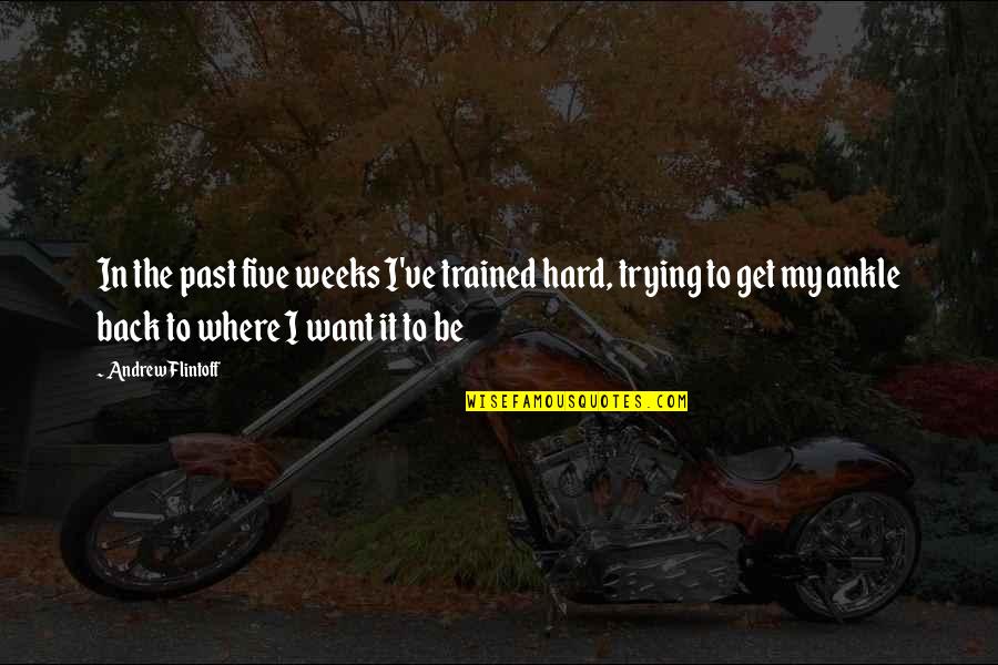 Boyamak Icin Quotes By Andrew Flintoff: In the past five weeks I've trained hard, Boyamak Icin Quotes By Andrew Flintoff: In the past five weeks I've trained hard,