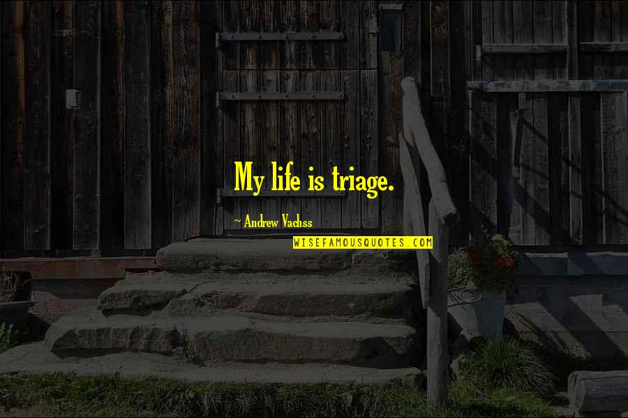 Boyamak Icin Quotes By Andrew Vachss: My life is triage. Boyamak Icin Quotes By Andrew Vachss: My life is triage.