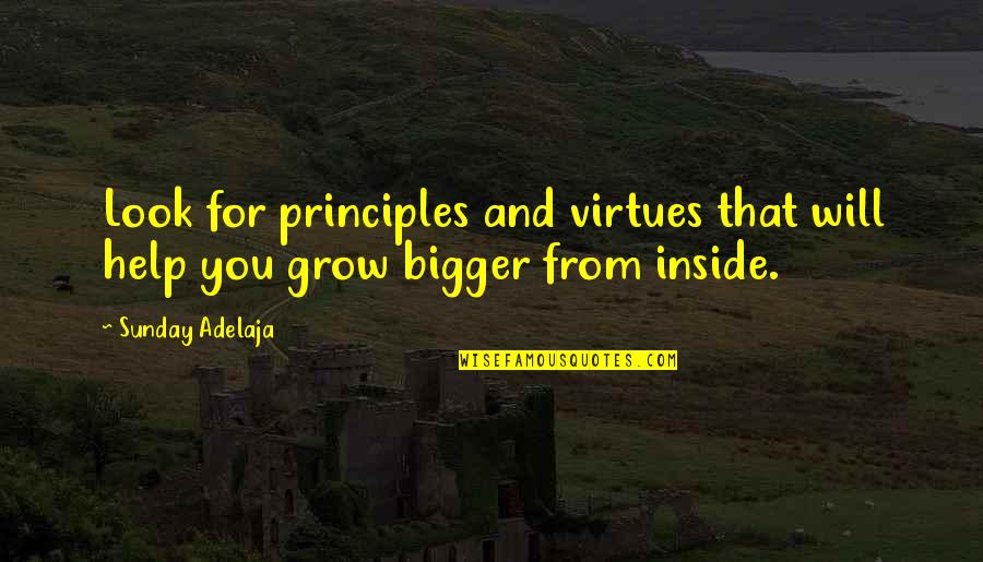 Boyau Laveuse Quotes By Sunday Adelaja: Look for principles and virtues that will help