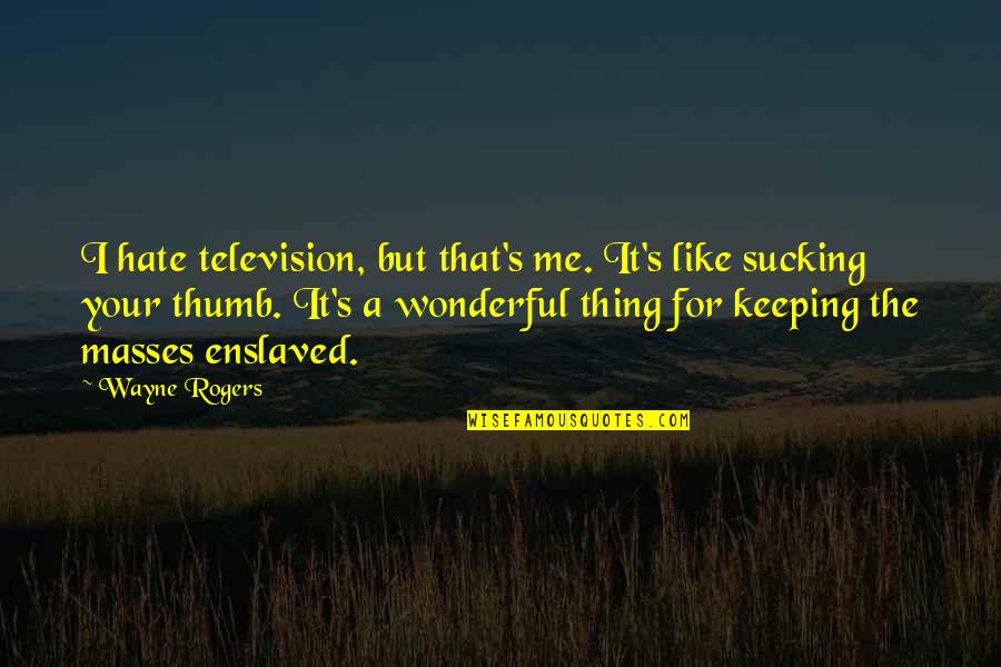 Boyau Pour Quotes By Wayne Rogers: I hate television, but that's me. It's like Boyau Pour Quotes By Wayne Rogers: I hate television, but that's me. It's like