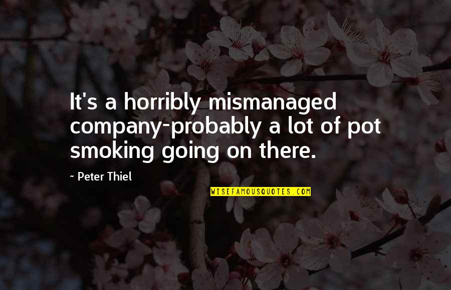 Boychoir 2014 Quotes By Peter Thiel: It's a horribly mismanaged company-probably a lot of