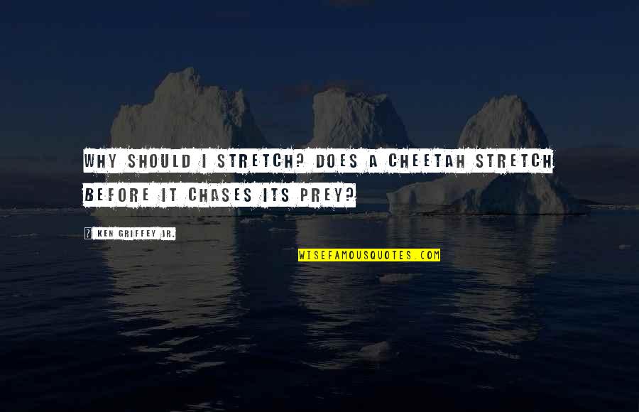 Boyeas Quotes By Ken Griffey Jr.: Why should I stretch? Does a cheetah stretch Boyeas Quotes By Ken Griffey Jr.: Why should I stretch? Does a cheetah stretch