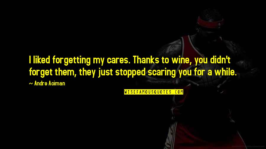 Boyfriend Out Of Town Quotes By Andre Aciman: I liked forgetting my cares. Thanks to wine,