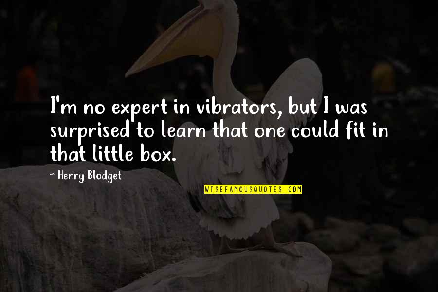 Boyfriends Mom Hates Me Quotes By Henry Blodget: I'm no expert in vibrators, but I was