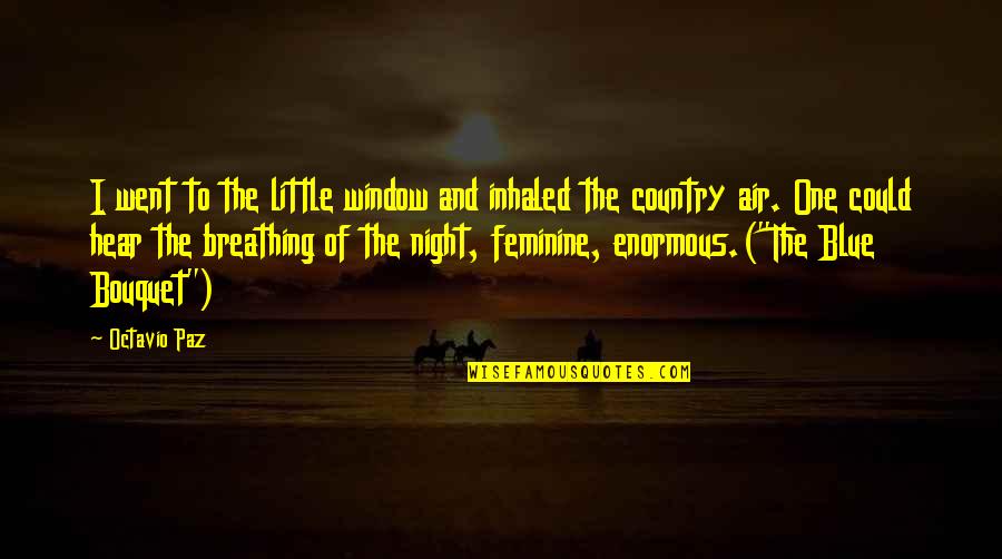 Boyishly Good Quotes By Octavio Paz: I went to the little window and inhaled