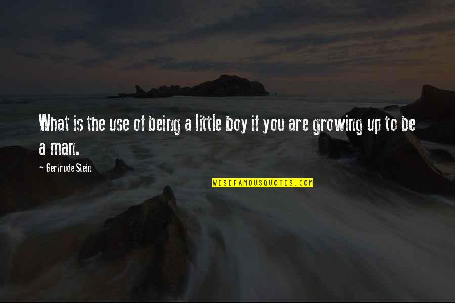 Boys Growing Up Quotes By Gertrude Stein: What is the use of being a little