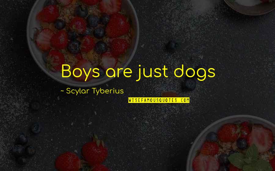 Boys Quotes By Scylar Tyberius: Boys are just dogs