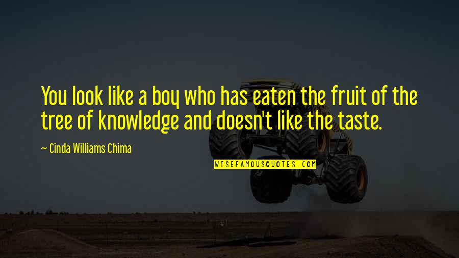 Boys You Like Quotes By Cinda Williams Chima: You look like a boy who has eaten Boys You Like Quotes By Cinda Williams Chima: You look like a boy who has eaten