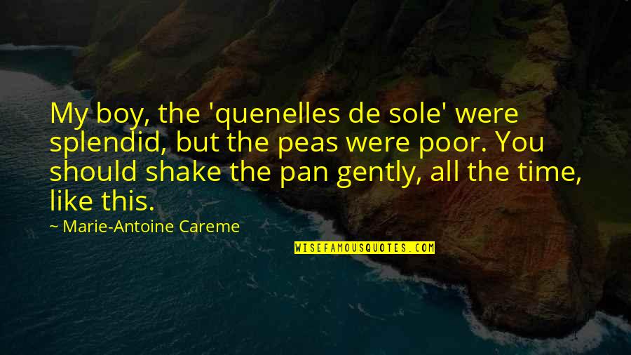 Boys You Like Quotes By Marie-Antoine Careme: My boy, the 'quenelles de sole' were splendid, Boys You Like Quotes By Marie-Antoine Careme: My boy, the 'quenelles de sole' were splendid,