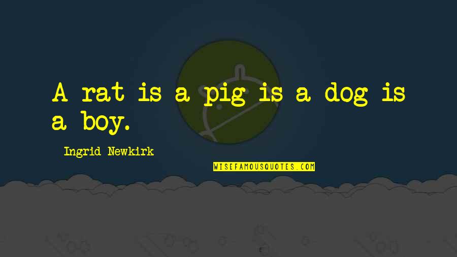 Boys'll Quotes By Ingrid Newkirk: A rat is a pig is a dog