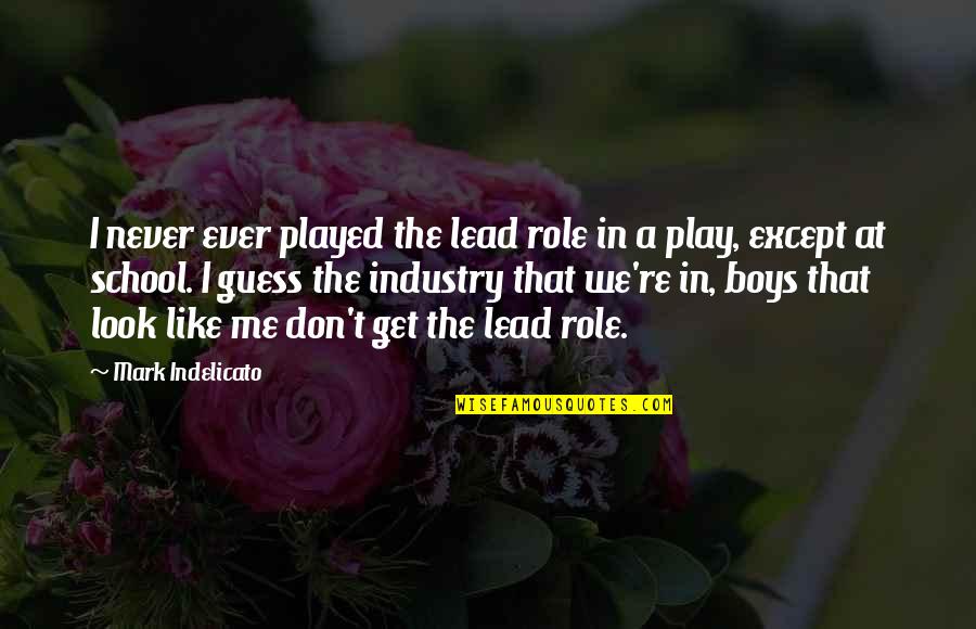 Boys're Quotes By Mark Indelicato: I never ever played the lead role in