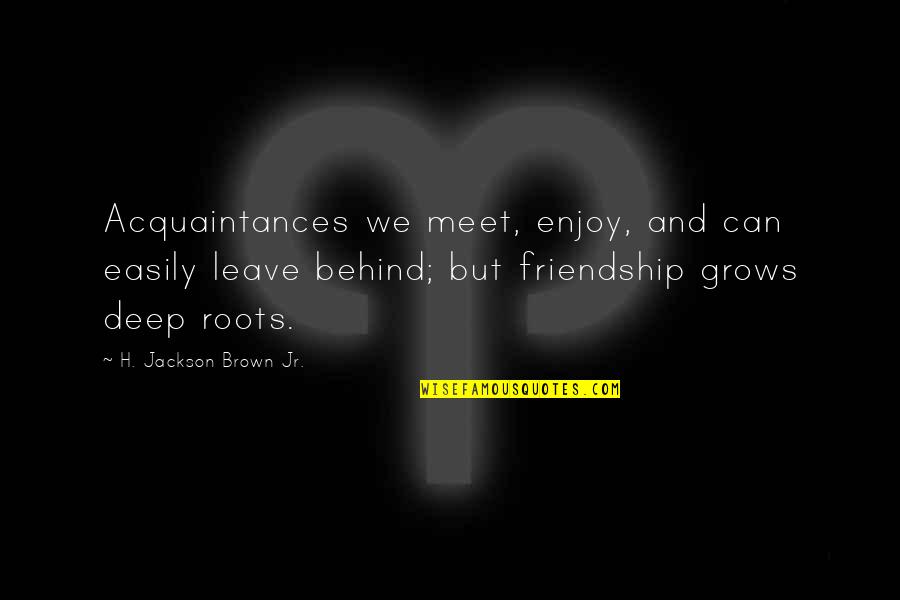 Bozant Quotes By H. Jackson Brown Jr.: Acquaintances we meet, enjoy, and can easily leave