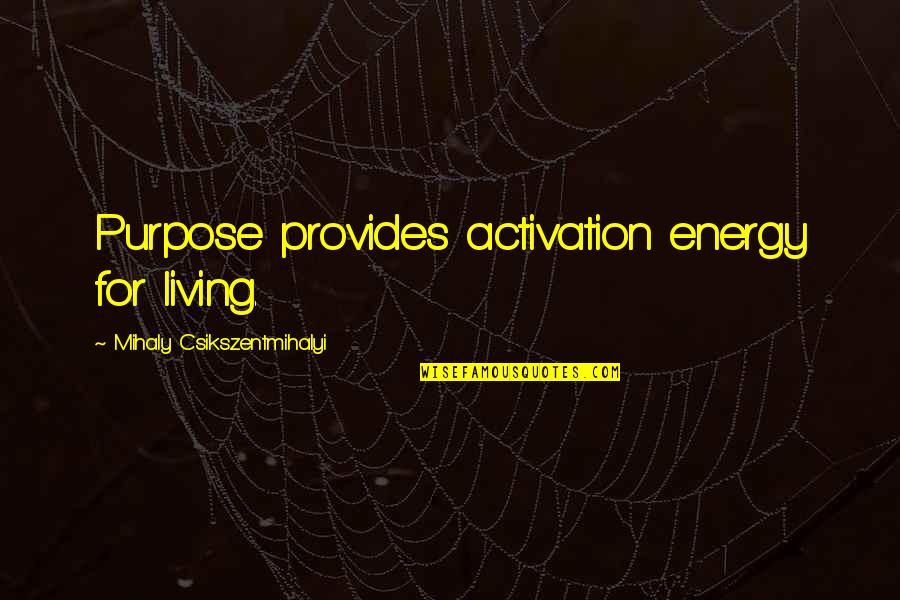 Bozdemir Construction Quotes By Mihaly Csikszentmihalyi: Purpose provides activation energy for living.