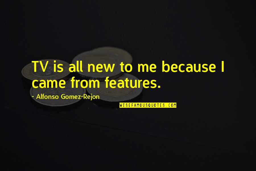 Bozorgmehr Sohrabi Quotes By Alfonso Gomez-Rejon: TV is all new to me because I Bozorgmehr Sohrabi Quotes By Alfonso Gomez-Rejon: TV is all new to me because I