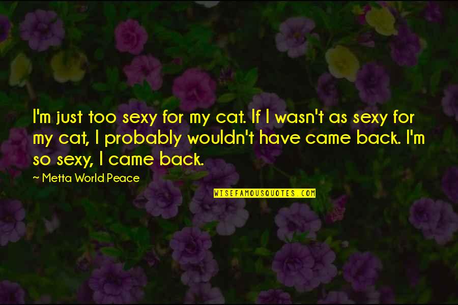 Bp Scout Quotes By Metta World Peace: I'm just too sexy for my cat. If Bp Scout Quotes By Metta World Peace: I'm just too sexy for my cat. If
