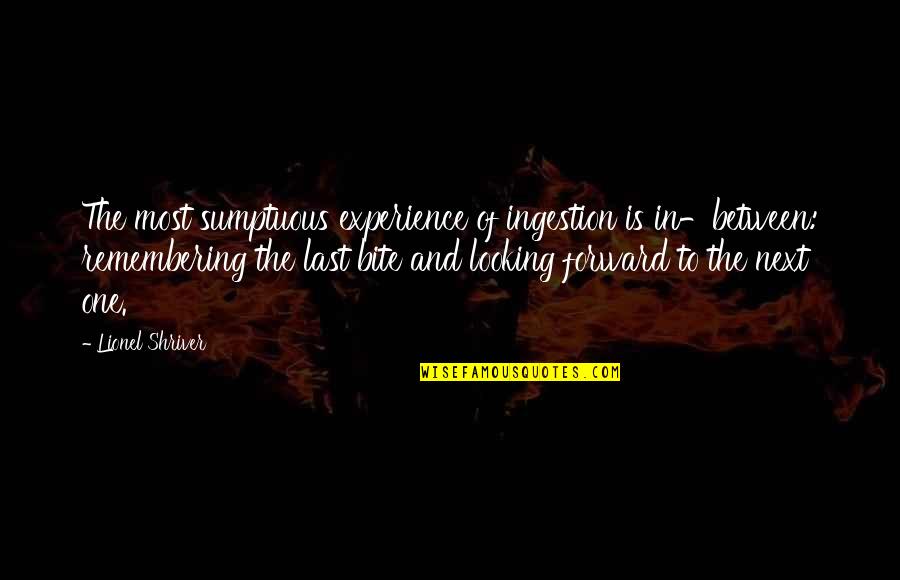 Bra Strap Quotes By Lionel Shriver: The most sumptuous experience of ingestion is in-between: