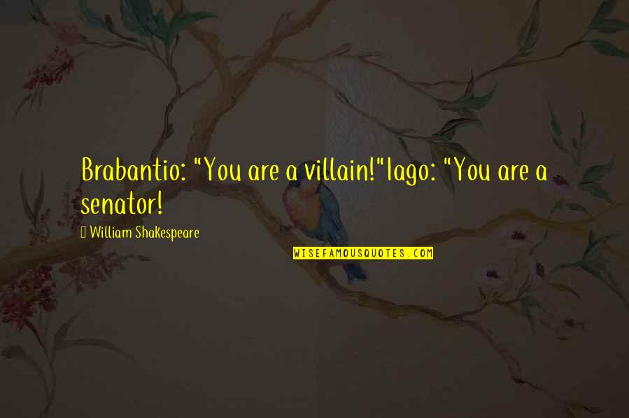 Brabantio Quotes By William Shakespeare: Brabantio: "You are a villain!"Iago: "You are a