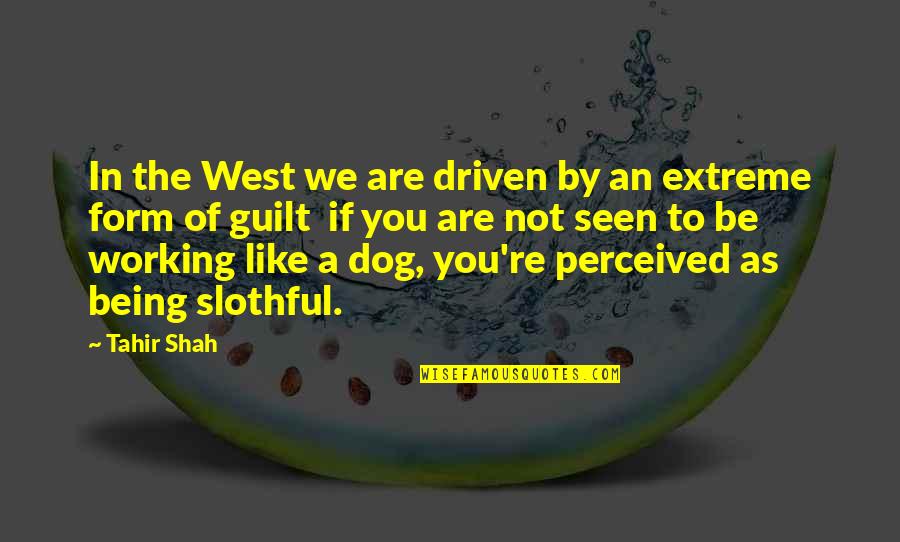 Brace Philosophy Quotes By Tahir Shah: In the West we are driven by an