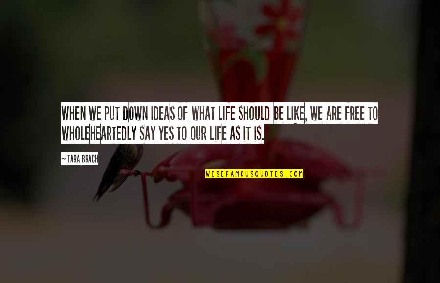 Brach Quotes By Tara Brach: When we put down ideas of what life