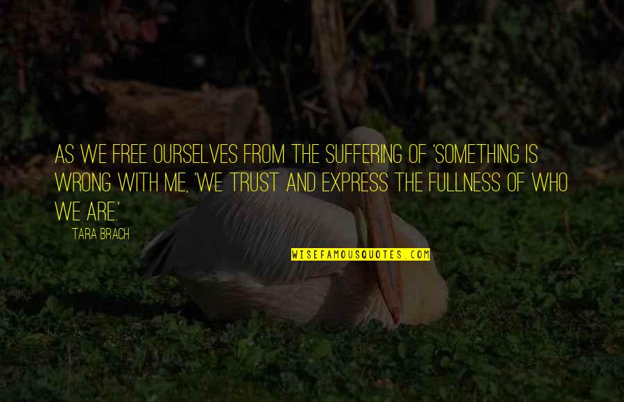 Brach Quotes By Tara Brach: As we free ourselves from the suffering of