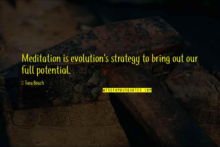 Brach Quotes By Tara Brach: Meditation is evolution's strategy to bring out our