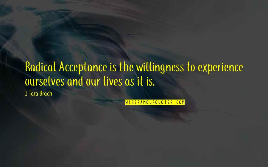 Brach Quotes By Tara Brach: Radical Acceptance is the willingness to experience ourselves