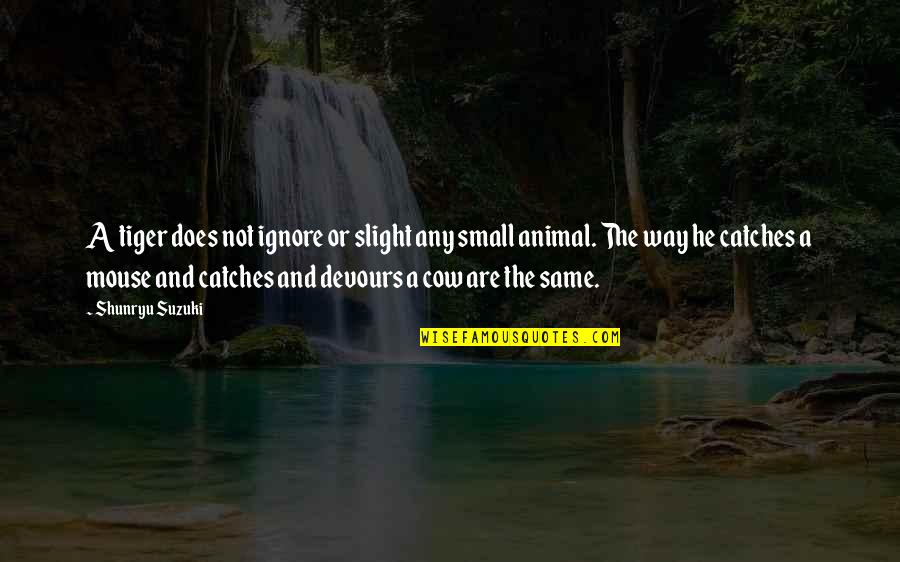 Bracys Nursery Quotes By Shunryu Suzuki: A tiger does not ignore or slight any Bracys Nursery Quotes By Shunryu Suzuki: A tiger does not ignore or slight any