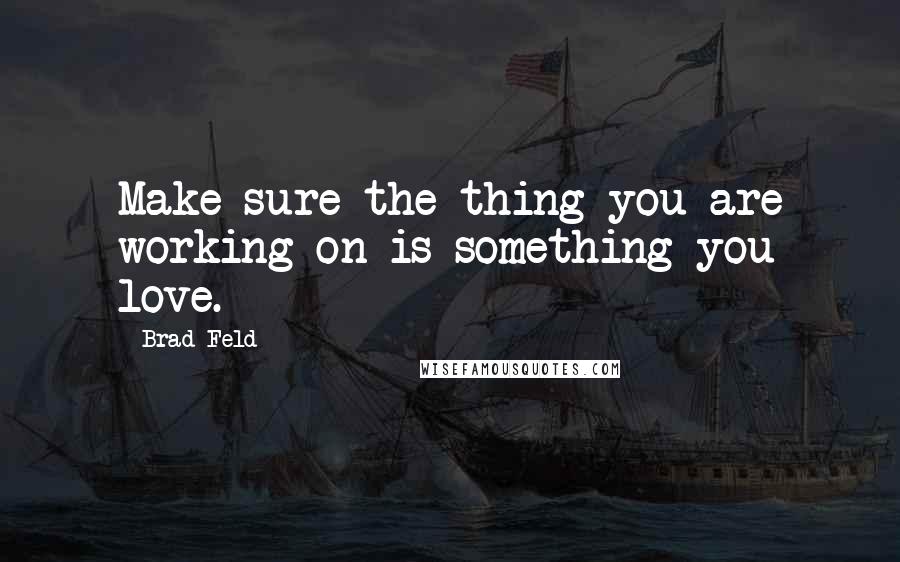 Brad Feld quotes: Make sure the thing you are working on is something you love.