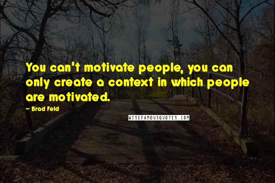 Brad Feld quotes: You can't motivate people, you can only create a context in which people are motivated.