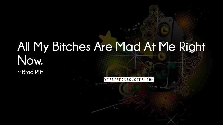 Brad Pitt quotes: All My Bitches Are Mad At Me Right Now.