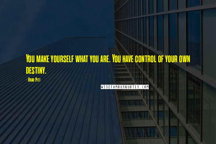 Brad Pitt quotes: You make yourself what you are. You have control of your own destiny.