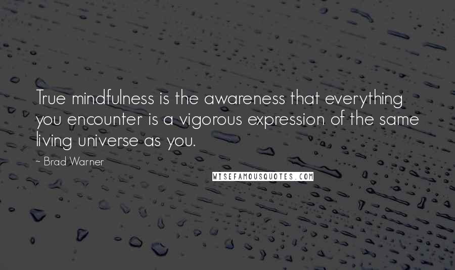 Brad Warner quotes: True mindfulness is the awareness that everything you encounter is a vigorous expression of the same living universe as you.