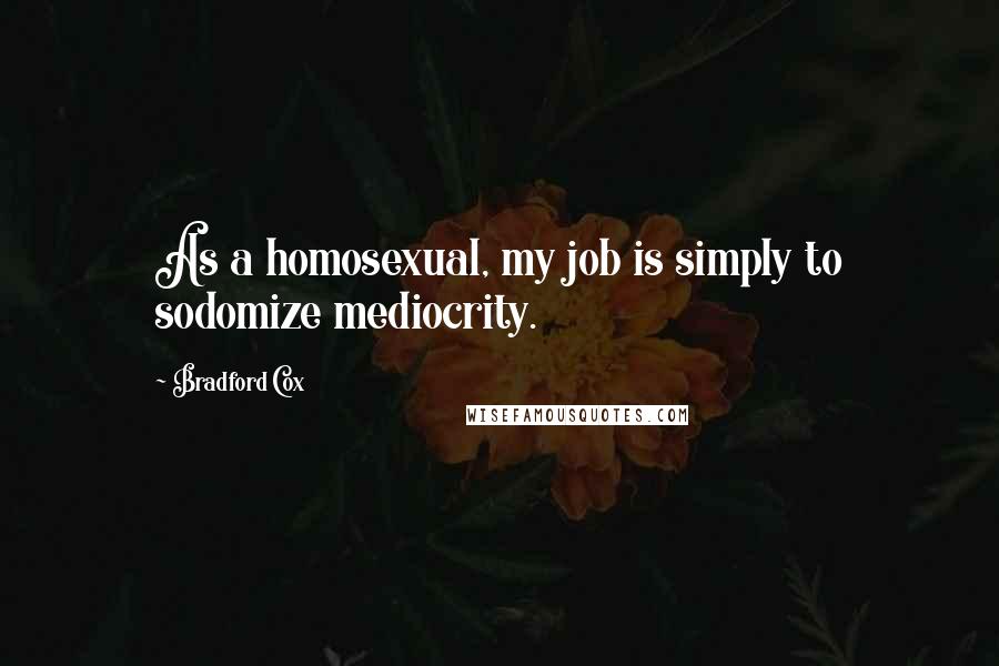 Bradford Cox quotes: As a homosexual, my job is simply to sodomize mediocrity.